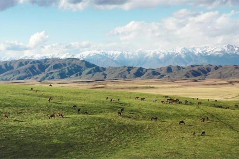 新疆旅遊包車自由行2026南北疆行程預定報名方式