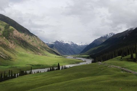 新疆旅遊6人小團怎麼報名？喀納斯禾木線報名入口