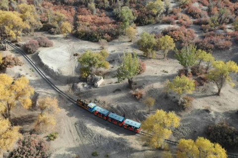 2026新疆10天9晚6人拼車小團，全程7座營運車輛