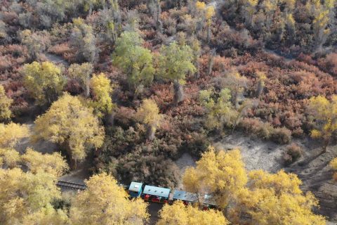 去新疆旅遊包車大約多少錢？7座商務車旺季1200 1700元