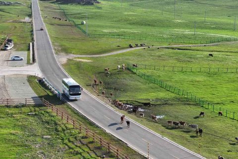 阿勒泰2‑6人小團費用？ 阿勒泰起止多日遊報價查詢