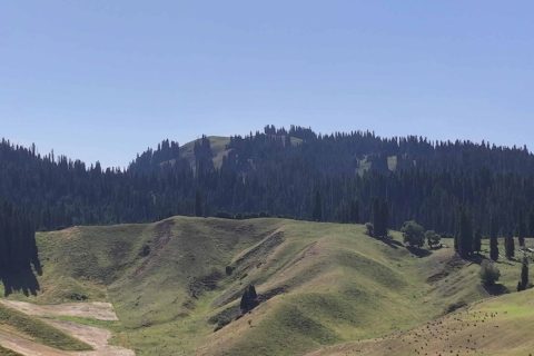 阿勒泰當地團報價？北疆環線8天純玩團含住宿門票總價明細查詢