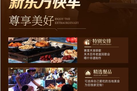 高端老年新疆專列優選新東方快車！2027南北疆，金鑽包廂訂票全攻略 2