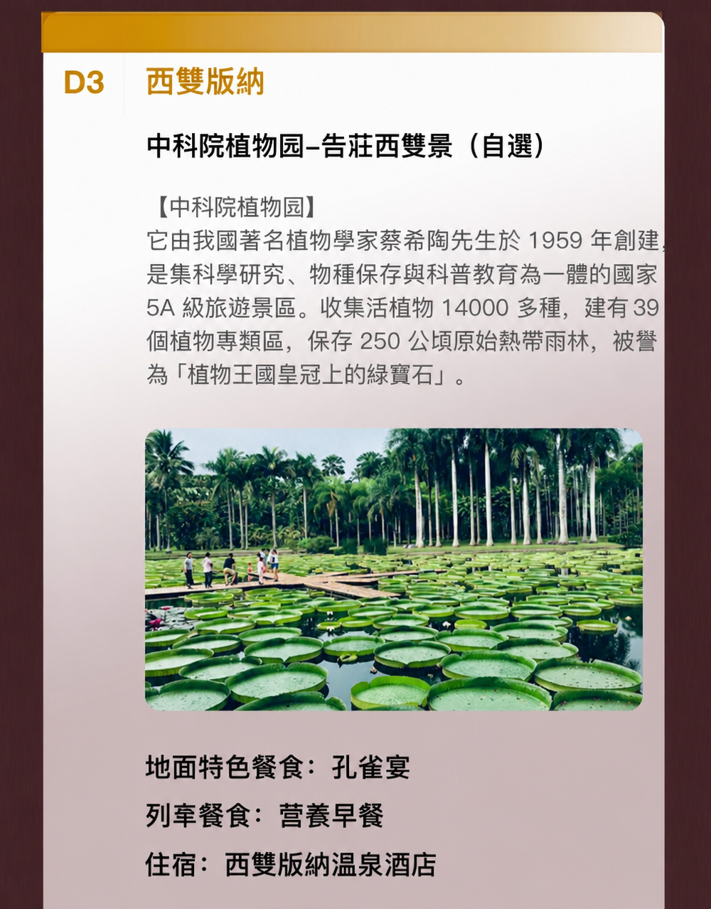 a13 介绍图8