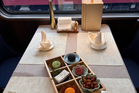 成都號旅遊列車新疆老人能報嗎2026報名條件與票價參考