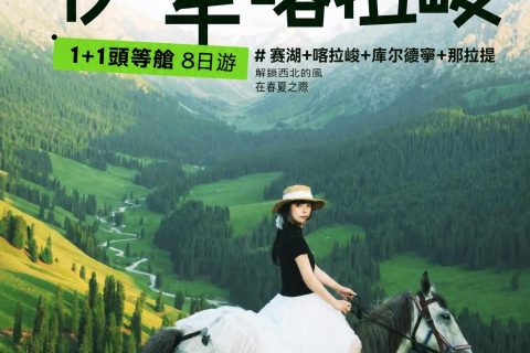 悅享版【1+1頭等艙 伊見傾心】8日