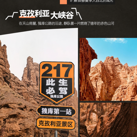 臻享版伊路向南1+1等艙10日遊