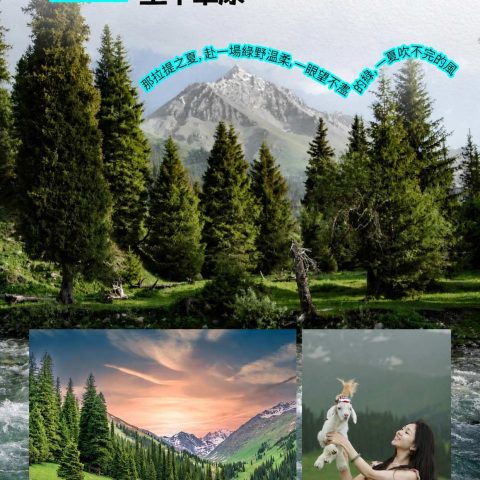 悦享版伊見傾心 1+1頭等舱8日游