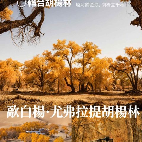 帕米尔给光 1+1頭等艙9日游