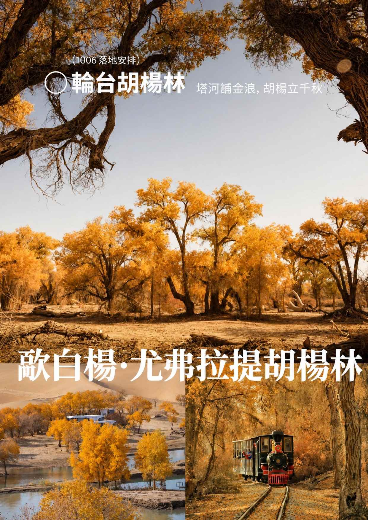 page_020 介绍图13