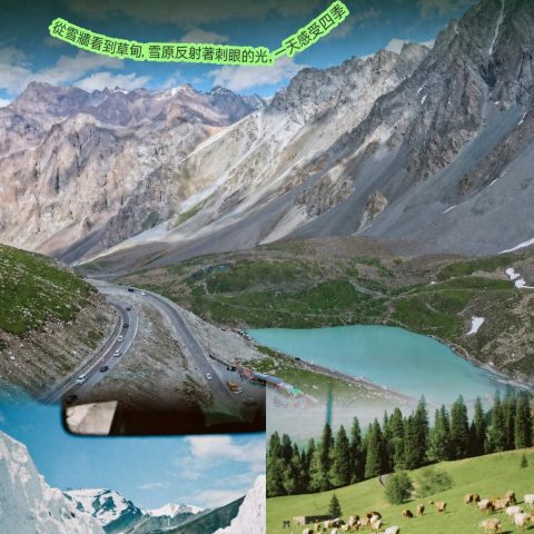 尊享版伊犁倾心1+1頭等艙8日游