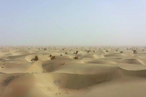 禾木方向產品要查看實際行程說明，阿勒泰旅行社定製路線怎麼規劃