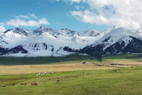 阿勒泰旅行社出行實用參考，報名需要準備什麼，小團遊要確認人數範圍和用車方式