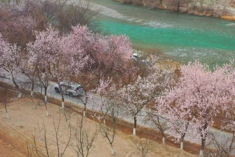 選擇烏魯木齊旅行社前，前往北疆和南疆的線路天數差異較大，報名需要準備什麼