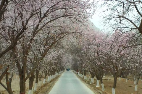 新疆旅行社旅遊專列報團流程怎麼了解，報名前要核對產品名稱和實際線路