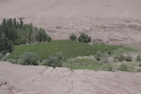 諮詢新疆旅行社時，帶老人出行怎麼安排，不同天數產品不能只比較總價