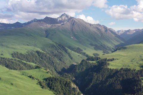 新疆旅行社大興安嶺號旅遊專列行程天數怎麼核對，報名前要核對產品名稱和實際線路