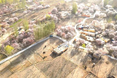 包車出行要說明人數和行李數量，阿勒泰旅行社費用受哪些因素影響