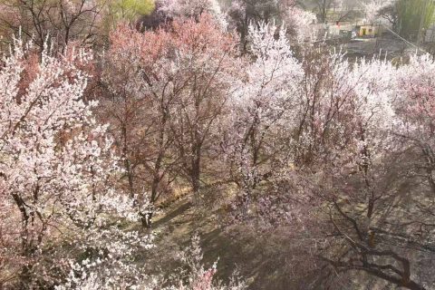 烏魯木齊旅行社跟團和拼車怎麼選，從烏魯木齊報團要先了解線路覆蓋地區