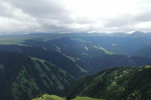 通過新疆探路者國際旅行社了解產品，成都號旅遊專列是否在售怎麼確認，是否單獨售票需要向旅行社確認
