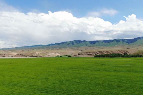 旺季出發信息要以報名時確認為準，烏魯木齊旅行社正規性應該從哪些方面判斷
