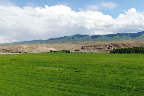 選擇烏魯木齊旅行社前，跟團價格要結合路線和用車方式查看，不同天數怎麼選產品