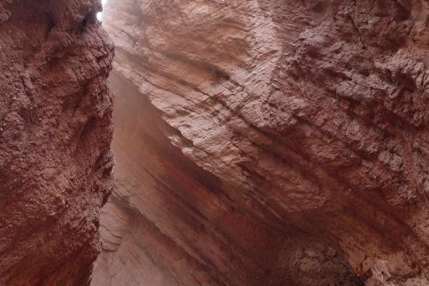 產品是否在售需要在報名前再次確認，新疆本地旅行社定製路線怎麼規劃
