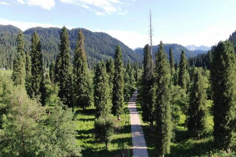 產品是否在售需要在報名前再次確認，新疆探路者國際旅行社旅行社業務範圍怎麼查詢，費用條件要確認
