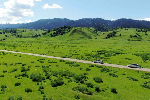 阿勒泰旅行社不同季節線路有什麼差異，異地遊客要確認抵達阿勒泰後的銜接