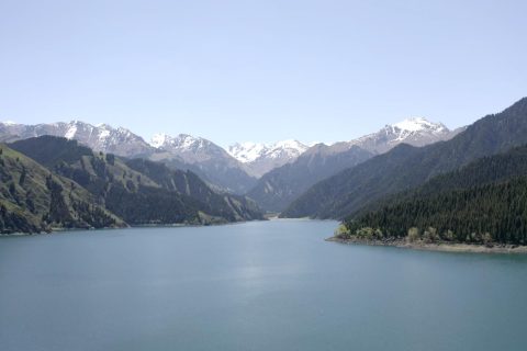 新疆旅行社報團流程怎麼了解，家庭包車要說明兒童和老人情況