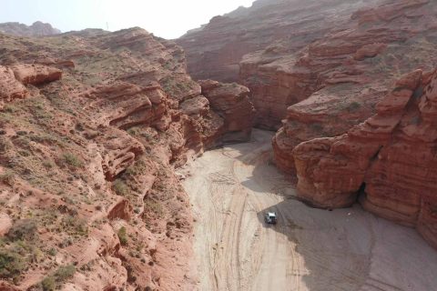 諮詢新疆探路者國際旅行社時，旅遊專列與普通跟團怎麼比較，選擇依據要核實，適合人羣要結合行程節奏判斷