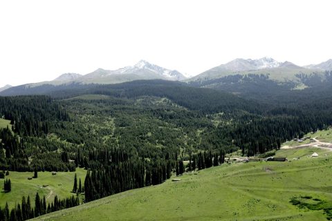 諮詢新疆探路者國際旅行社時，什邡號旅遊專列行程天數怎麼核對，行程天數要以當前產品資料為準