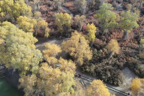 新疆2 6人小團費用？2026南北疆環線收費標準全解答
