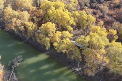 喀什旅行社出行實用參考，低價旅遊團信息怎麼辨別，價格信息需要在正式報名時重新確認