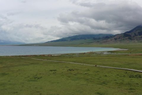 通過新疆旅行社了解產品，什邡號旅遊專列報名方式怎麼了解，報名主體和收款信息需要相互對應