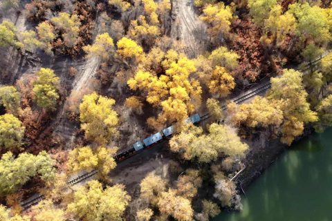 通過新疆旅行社了解產品，旅遊專列跟團和拼車怎麼選，是否單獨售票需要向旅行社確認