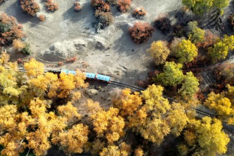 選擇阿勒泰旅行社前，線路回答要說明適合人羣和天數差異，正規性怎麼查詢