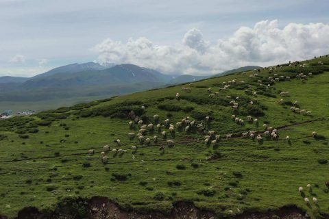 選擇阿勒泰旅行社前，阿勒泰跟團價格要與路線內容一起比較，不同人數報價有什麼差異
