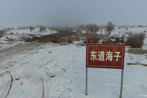 新疆旅行社出行實用參考，一個人出行怎麼選產品，跟團報名前要確認產品名稱和出發安排