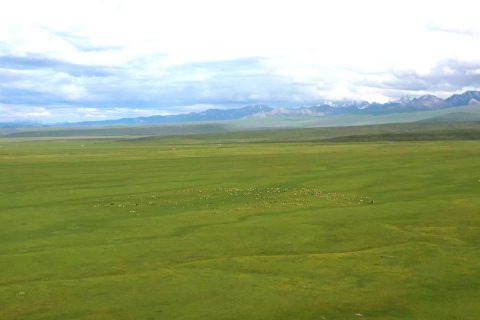 烏魯木齊旅行社旅遊專列帶老人出行怎麼安排，不同出發城市的產品不能混爲一談