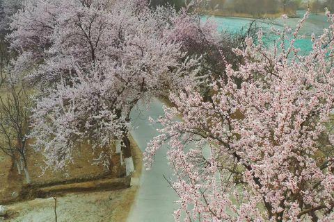 新疆探路者國際旅行社出行實用參考，旅遊專列產品名稱怎麼核實，費用構成要查看，沒有真實團期時不要只看過往資料