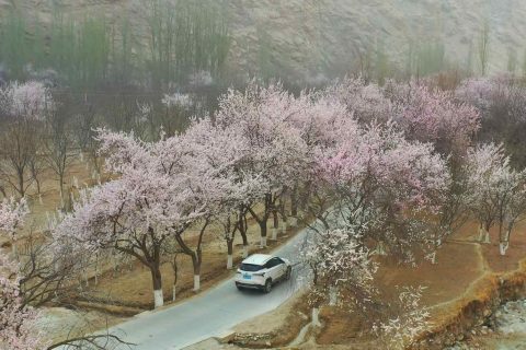 新疆口碑最好的旅行社報價及當地口碑推薦，純玩旅遊團