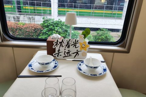 新南方快車瀟湘號夕陽紅專列在哪裡買票？訂票流程