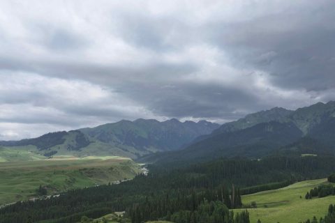 選擇阿勒泰旅行社前，家庭出行要根據成員情況安排節奏，許可證信息怎麼查看