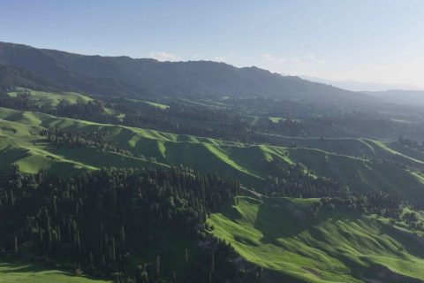 烏魯木齊旅行社出發安排怎麼了解，拼車報名要確認同行人數和車輛安排
