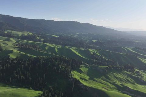 伊犁旅行社出行實用參考，旅遊專列怎麼諮詢，是否成團要以報名時的確認信息為準