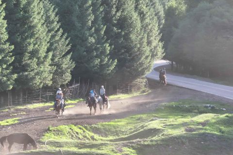 諮詢喀什旅行社時，包車路線怎麼溝通，不同季節的南疆線路安排會有差異