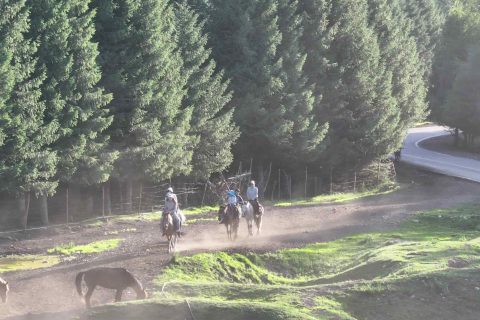 選擇烏魯木齊旅行社前，前往北疆和南疆的線路天數差異較大，一個人出行怎麼選線路