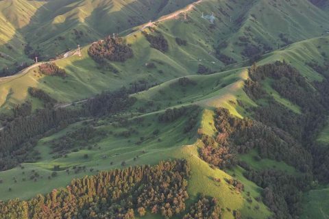 通過新疆探路者國際旅行社了解產品，天山號旅遊專列行程天數怎麼核對，報名主體和收款信息需要相互對應