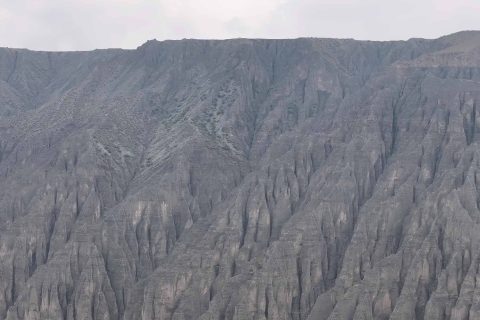 新疆探路者國際旅行社出行實用參考，跟團遊怎麼諮詢，資質信息要核實，跟團報名前要確認產品名稱和出發安排